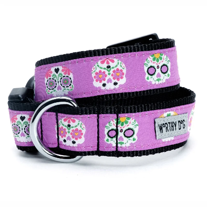 Skeletons Dog Collar Purple